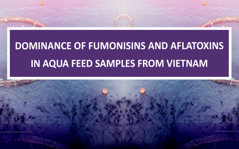 DOMINANCE OF FUMONISINS AND AFLATOXINS IN AQUA FEED SAMPLES FROM VIETNAM